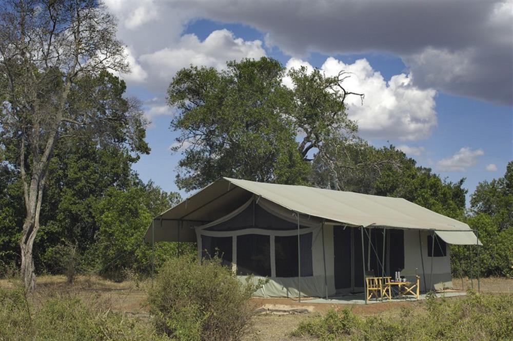 Porini Lion Camp